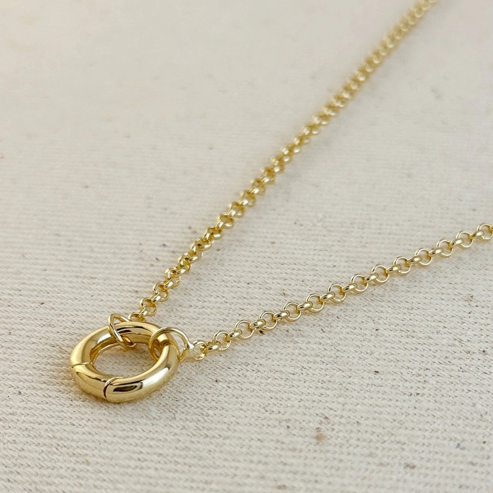 NWT Rolo Chain Necklace Featuring Carabiner Clasp - Picture 2 of 5